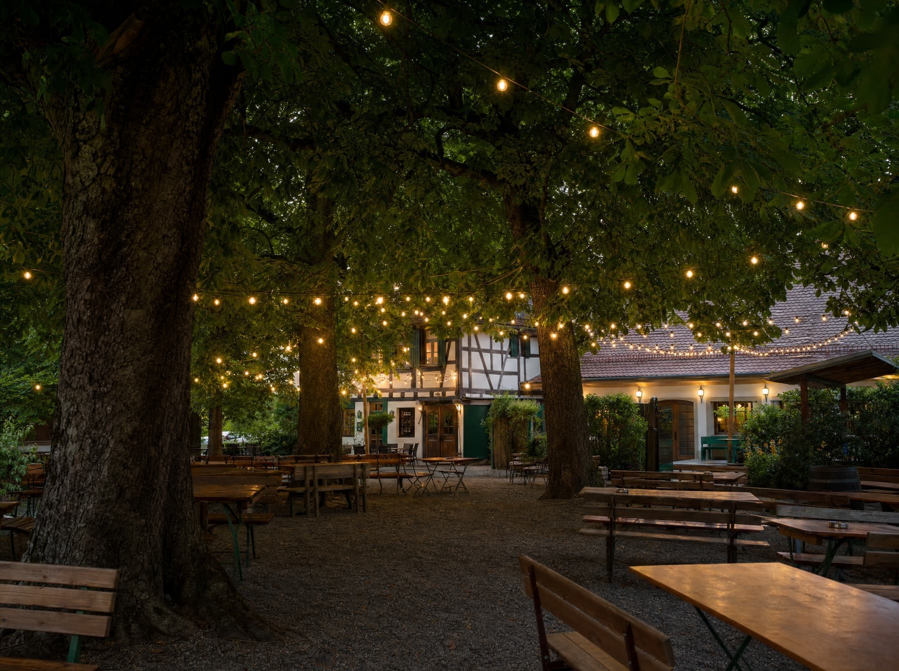 Der Biergarten unter den Kastanien in der Abenddämmerung, warme Lichterketten zwischen den Ästen